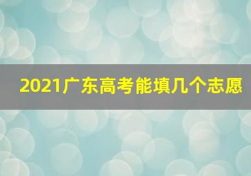 2021广东高考能填几个志愿