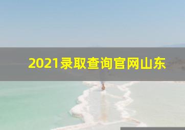 2021录取查询官网山东