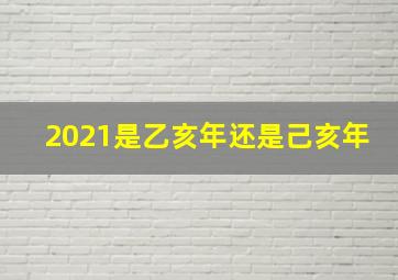 2021是乙亥年还是己亥年