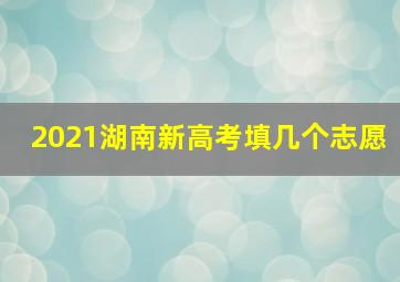 2021湖南新高考填几个志愿