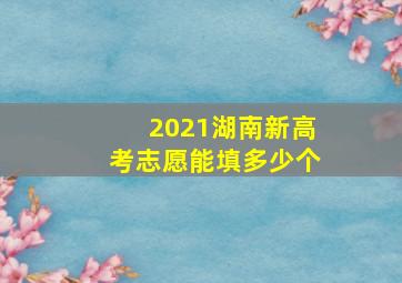 2021湖南新高考志愿能填多少个