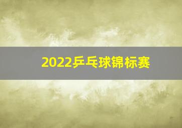 2022乒乓球锦标赛