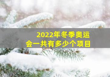 2022年冬季奥运会一共有多少个项目