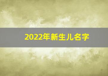 2022年新生儿名字