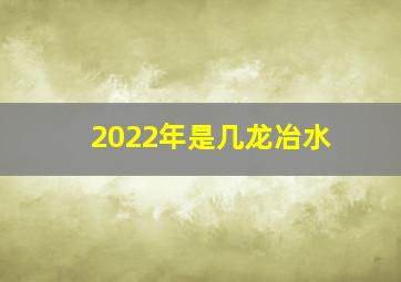 2022年是几龙冶水