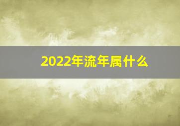 2022年流年属什么