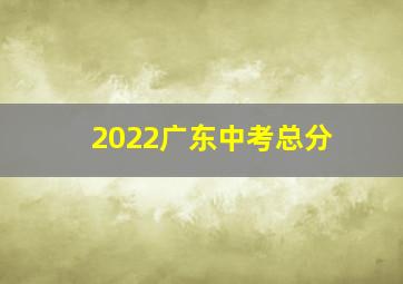 2022广东中考总分