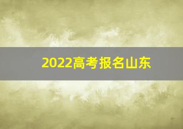 2022高考报名山东