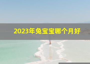 2023年兔宝宝哪个月好