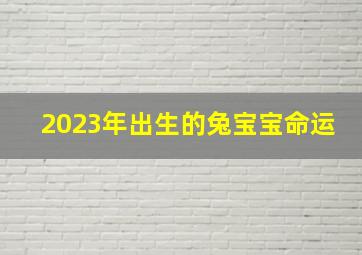 2023年出生的兔宝宝命运