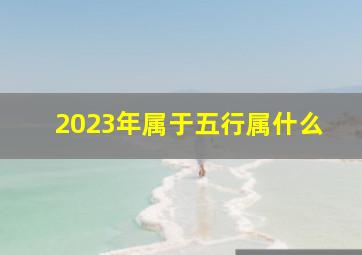 2023年属于五行属什么