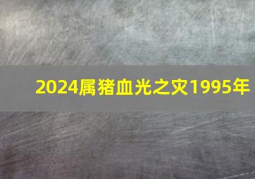 2024属猪血光之灾1995年