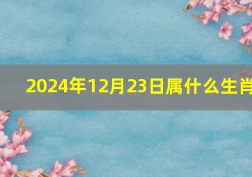 2024年12月23日属什么生肖