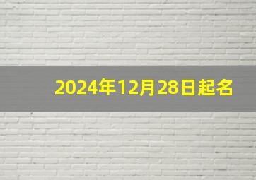 2024年12月28日起名