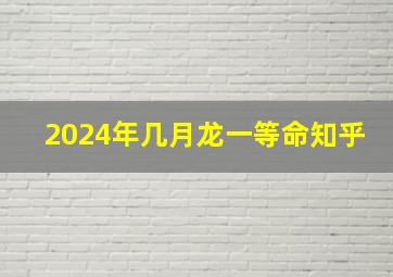 2024年几月龙一等命知乎