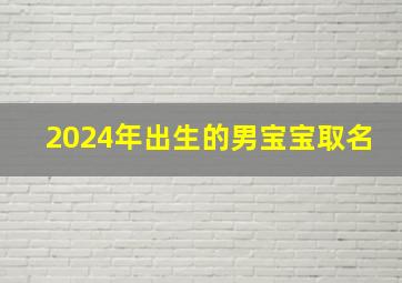 2024年出生的男宝宝取名