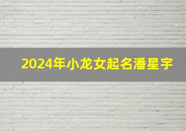 2024年小龙女起名潘星宇