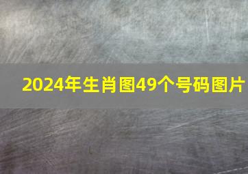 2024年生肖图49个号码图片