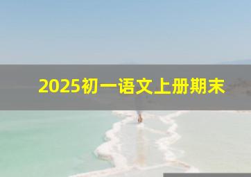 2025初一语文上册期末