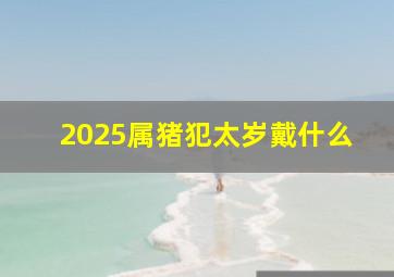 2025属猪犯太岁戴什么