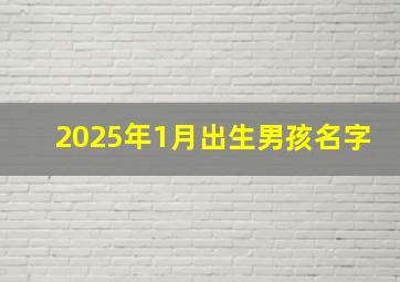 2025年1月出生男孩名字