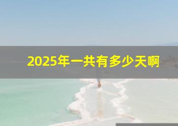 2025年一共有多少天啊