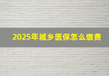 2025年城乡医保怎么缴费