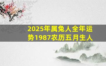 2025年属兔人全年运势1987农历五月生人