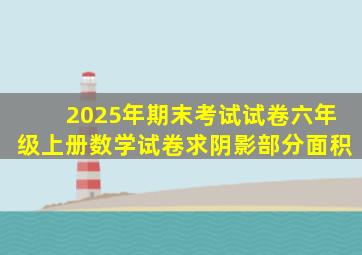 2025年期末考试试卷六年级上册数学试卷求阴影部分面积