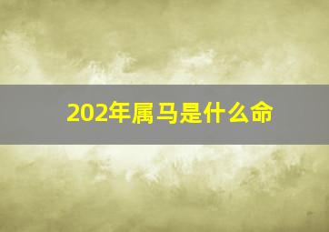 202年属马是什么命