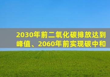 2030年前二氧化碳排放达到峰值、2060年前实现碳中和