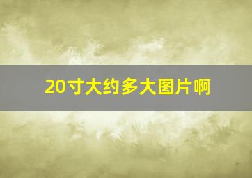 20寸大约多大图片啊