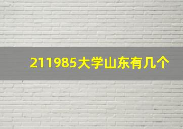 211985大学山东有几个