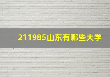 211985山东有哪些大学