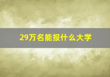 29万名能报什么大学