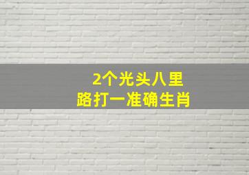 2个光头八里路打一准确生肖