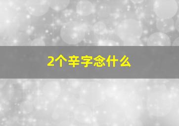 2个辛字念什么