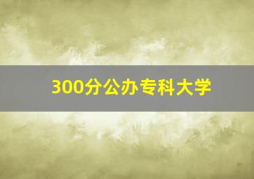 300分公办专科大学