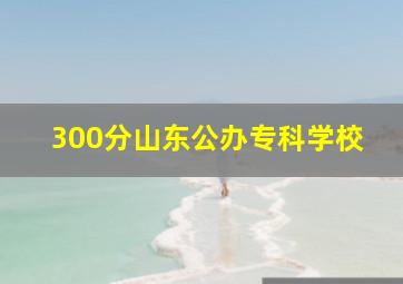 300分山东公办专科学校