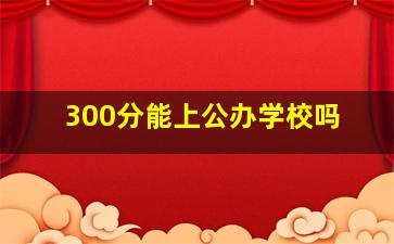 300分能上公办学校吗