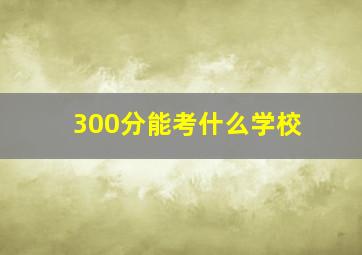 300分能考什么学校