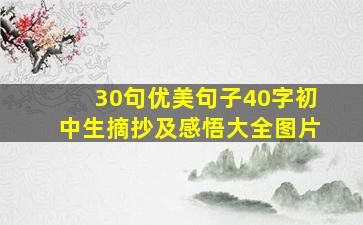 30句优美句子40字初中生摘抄及感悟大全图片