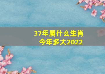 37年属什么生肖今年多大2022