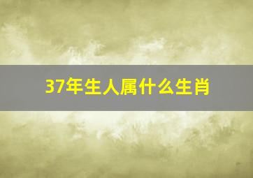 37年生人属什么生肖