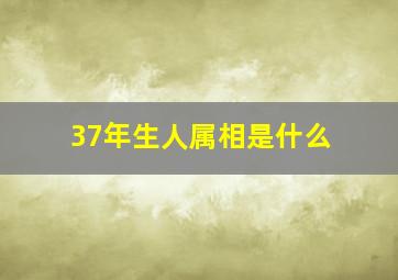 37年生人属相是什么