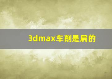 3dmax车削是扁的