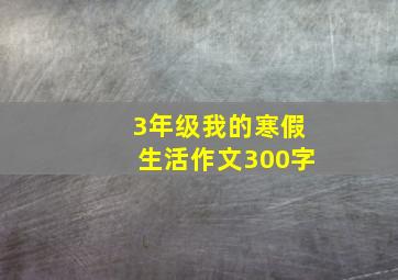 3年级我的寒假生活作文300字