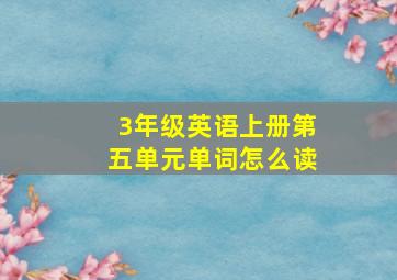 3年级英语上册第五单元单词怎么读