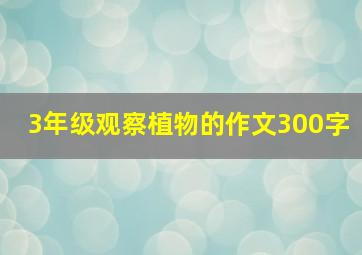 3年级观察植物的作文300字