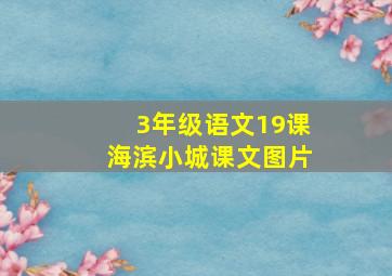 3年级语文19课海滨小城课文图片